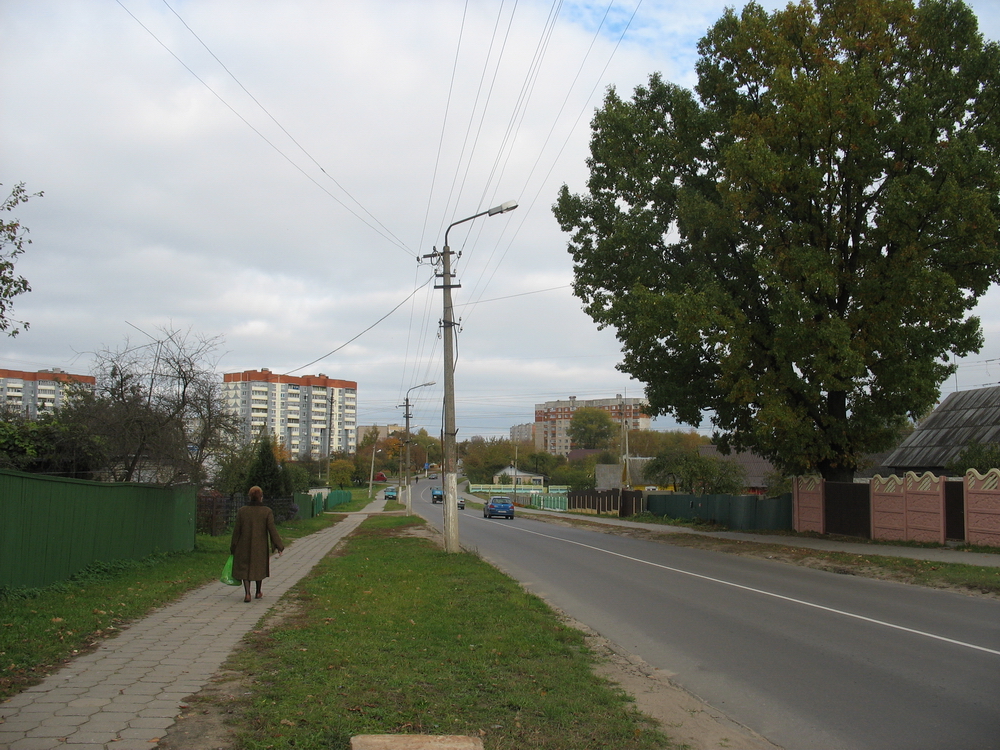 Улица Московская. 2015 год